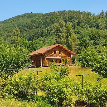 סן-מוריס-סור-מוסל Chalet Des Charbonniers Avec Etang מראה חיצוני תמונה