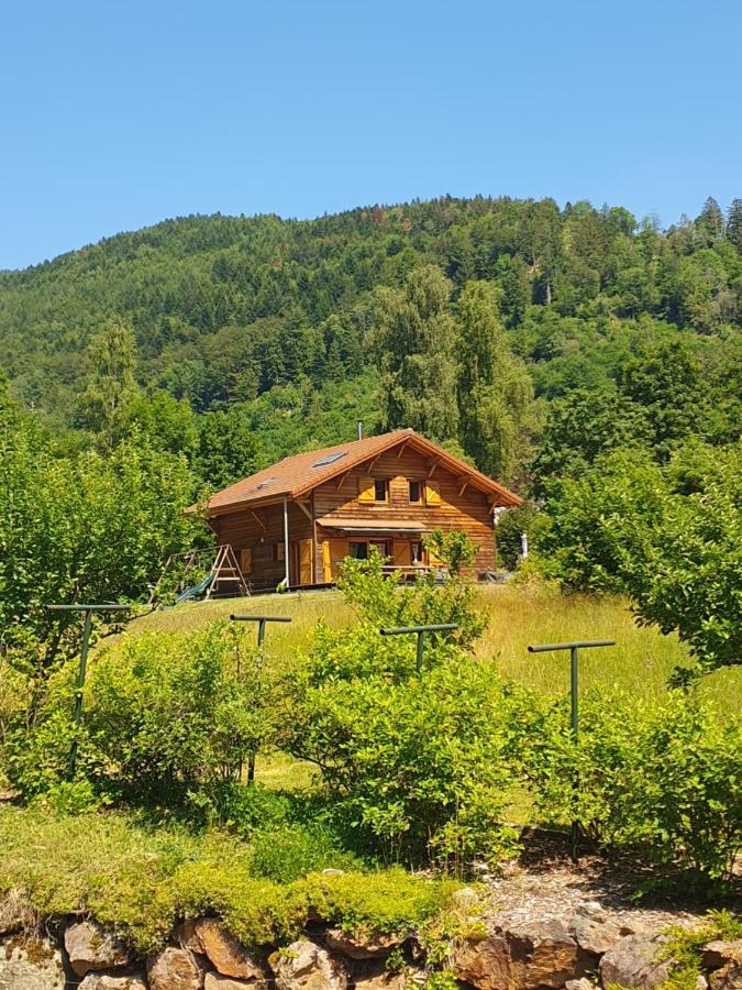 סן-מוריס-סור-מוסל Chalet Des Charbonniers Avec Etang מראה חיצוני תמונה